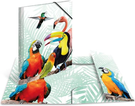 Elastomappen A3 PP Kliek tropische vogels