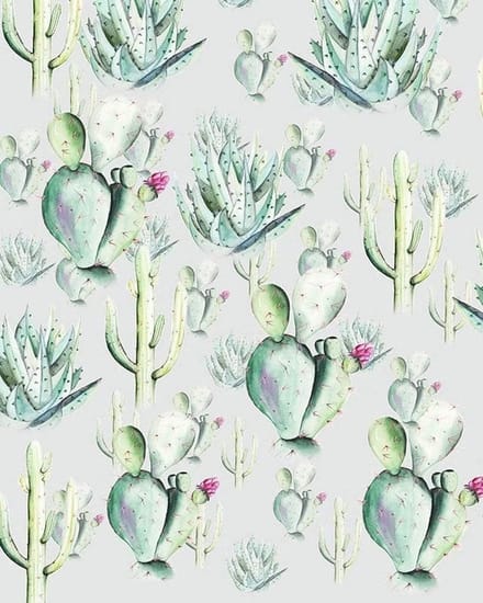 Fotobehang - Cactus Grey 200x250cm - Vliesbehang