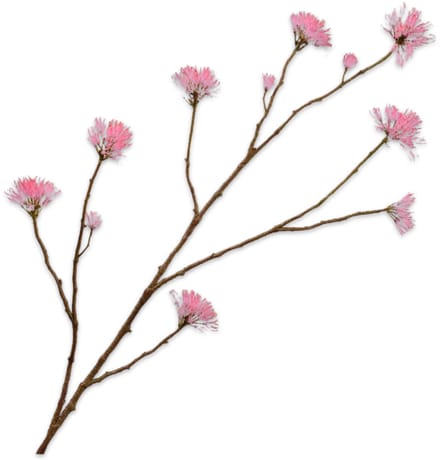 Silk-ka Kunstbloem-Zijde Bloem Bloesem Tak Roze 108 cm