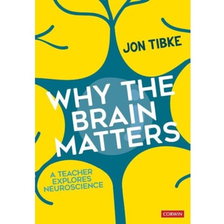 Why The Brain Matters - Tibke, Jon