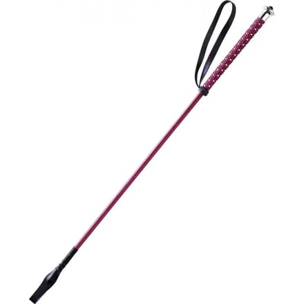 Paardrijzweep Whip & Go Points