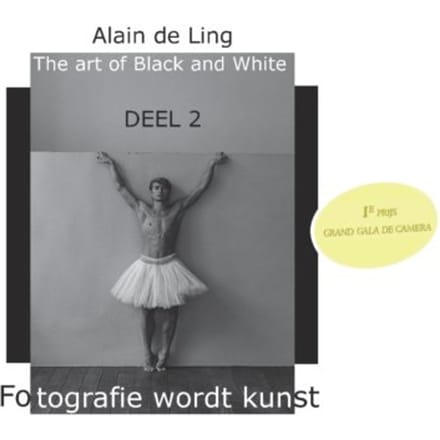 The Art Of Black And White / 2 - Alain De Ling