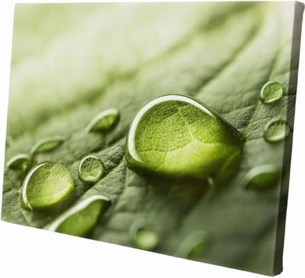 Druppels op blad | 90 x 60 CM | Natuur |Schilderij | Canvasdoek | Schilderij op canvas