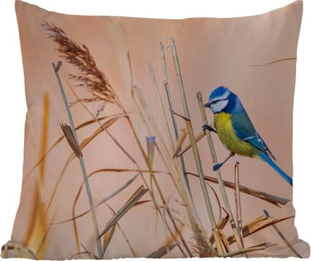 Tuinkussen - Vogel - Pimpelmees - Riet - 40x40 cm - Weerbestendig