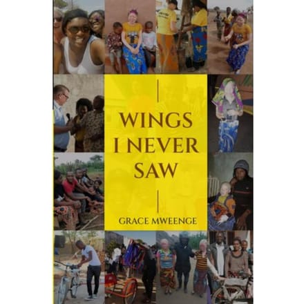 Wings I Never Saw - Grace Mweenge