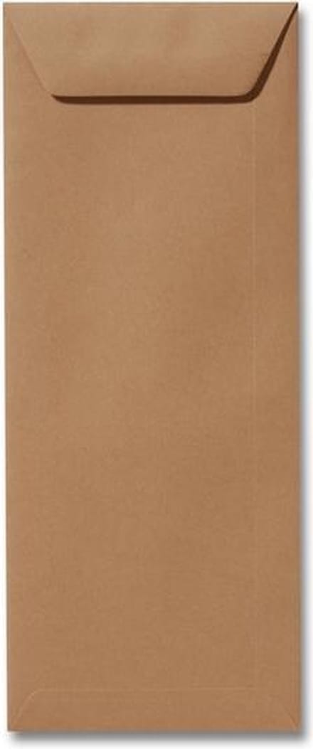 Envelop 12,5 x 31,2 Bruin, 100 stuks