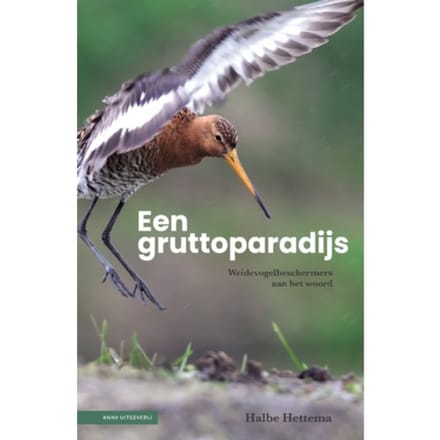 Een Gruttoparadijs - Halbe Hettema