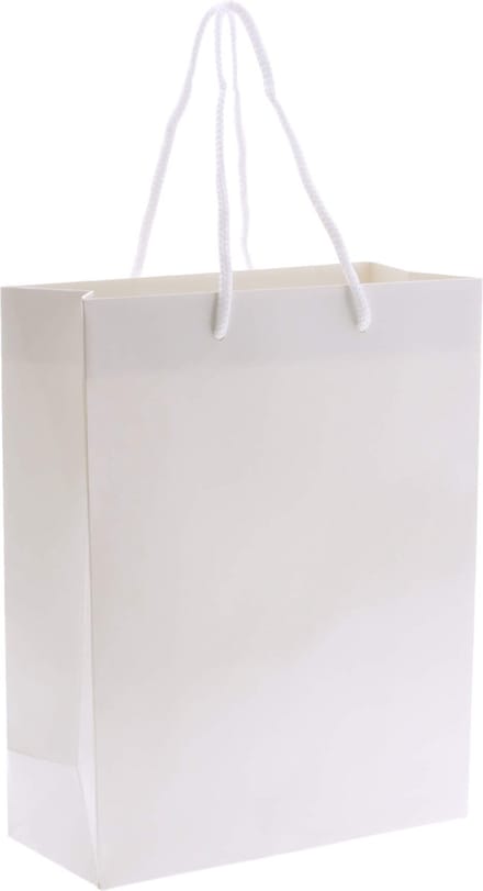 10x cadeautasjes Wit A4 - 25x11x32cm