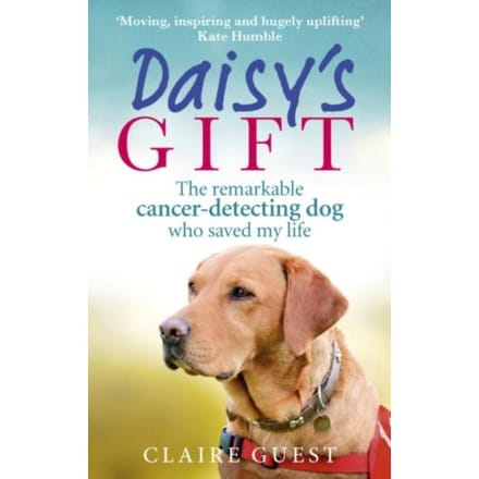 Daisy’s Gift - Claire Guest