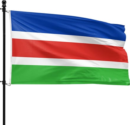 VlagDirect - Laarbeek vlag - Gemeente Laarbeek vlag - 90 x 150 cm.