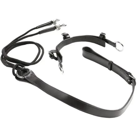 Chambon voor paard Kavalkade