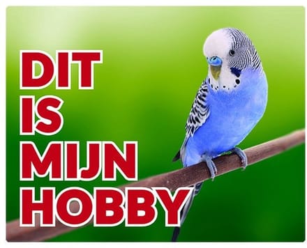Grasparkiet Waakbord - Dit is mijn hobby Blauw
