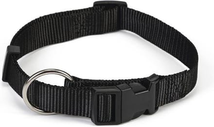 Beeztees - Halsband Hond - Nylon - Zwart - 40-65 cm x 25 mm