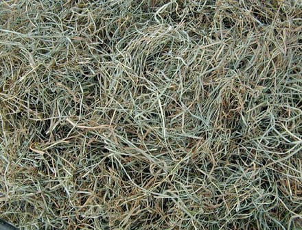 Eckhardt Kleinverpakkingen Hooi 2,5 kilo (75 liter)