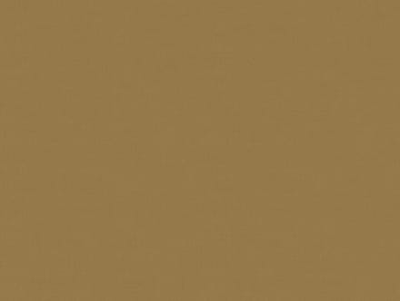 Zambaiti Vinylbehang Z54515 - Fuksas - Uni Bruin - 70cm x 10.05m