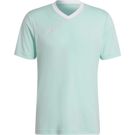 Adidas Entrada 22 Shirt Korte Mouw Heren - Wit / Munt | Maat: S
