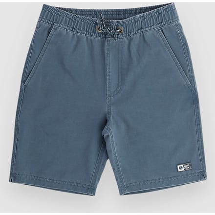 Salty Crew Seadog Volley Kids Boardshorts blauw