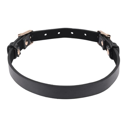 'Sex and Mischief - Double Buckle Day Collar'