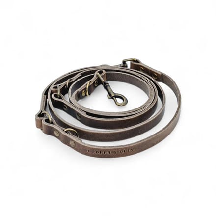 Cooper & Quint Switch Verstelbare Leren Hondenriem - Stone - 2 cm - Oud Messing