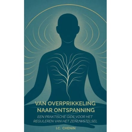 Van Overprikkeling Naar Ontspanning - I.C. Chenin