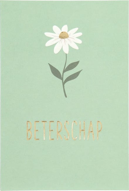 Depesche - Wenskaart "Gewoon Mooi", klein met de tekst "Beterschap" - mot. 008