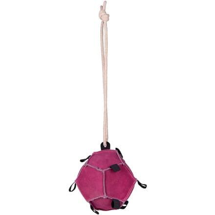QHP - Paardenspeelgoed Bal - Roze