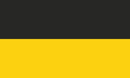 Vlag Gera 100x150cm