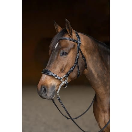 Anatomisch hoofdstel HFI Hackamore