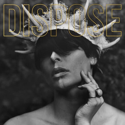 Dispose -5th Anniversary Gold Vinyl- - The Plot In You