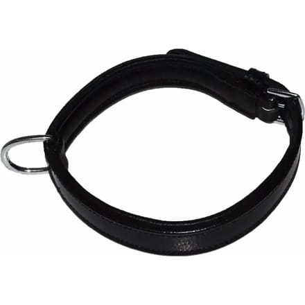 Hondenhalsband Hekktor Bor
