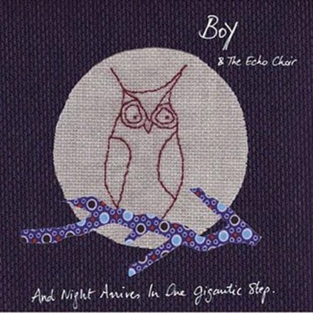 Boy & The Echo Choir - And Night Arrives In One Gigantic Step (CD)