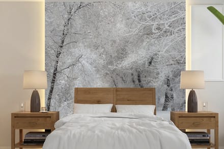 Behang - Fotobehang Bomen - Sneeuw - Winter - Breedte 260 cm x hoogte 260 cm