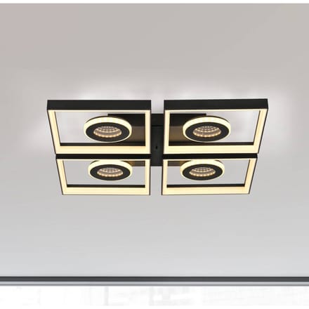 Paul Neuhaus LED plafondlamp Traforo, 53 cm, CCT, dimbaar