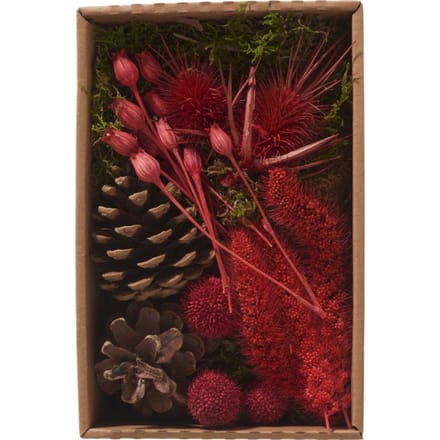 Droogenbloemen potpourri set "Red"