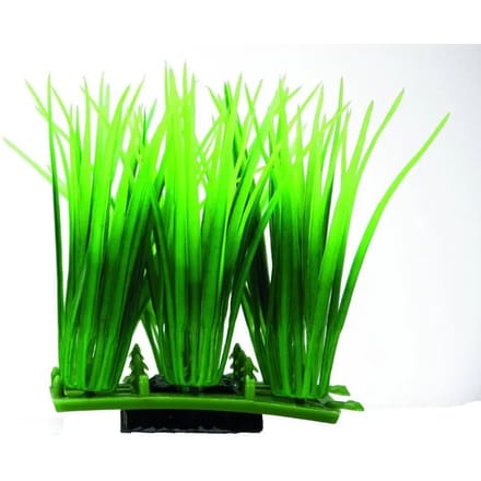 Hobby Plant Pad 3