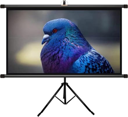 Projectiescherm Statief - Buiten Scherm - Thuisbioscoop Creëren - Kreukvrij Beeld - 60 Inch - Wit