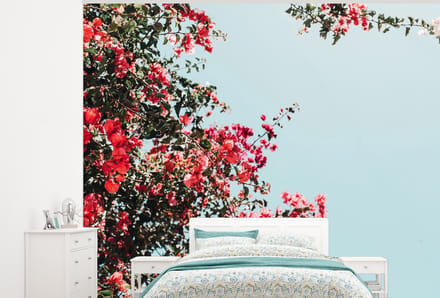 Behang - Fotobehang Bloemen - Lucht - Roze - Breedte 275 cm x hoogte 220 cm