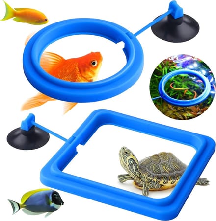 Dailygoods - Visvoederring Set van 2 voor Aquariumvissen en Schildpadden
