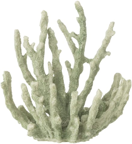 J-Line decoratie Koraal - polyresin - muntgroen - medium - 3 stuks