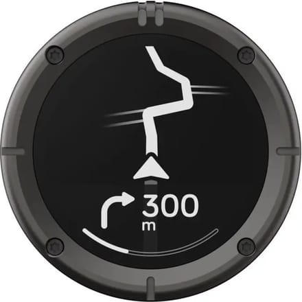 GPS Beeline