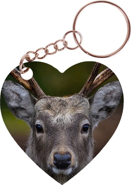 Sleutelhanger hartje 5x5cm - Close up - Hert