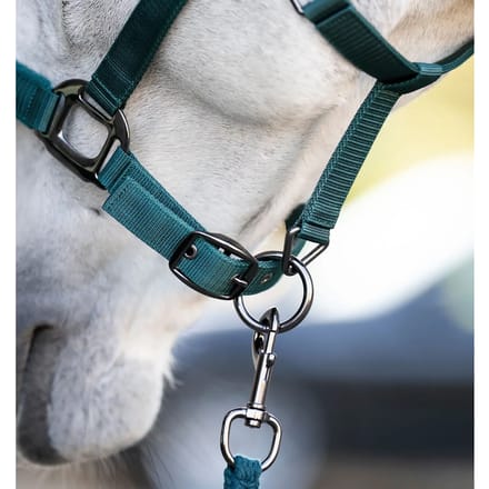 Nylon paardenhalster Horseware