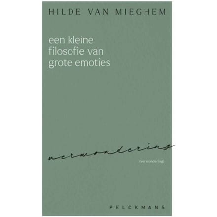 Een Kleine Filosofie Van Grote Emoties - Hilde van Mieghem