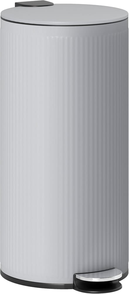 HOMCOM Prullenbak - Metaal - 36x30x60,5cm - Lichtgrijs