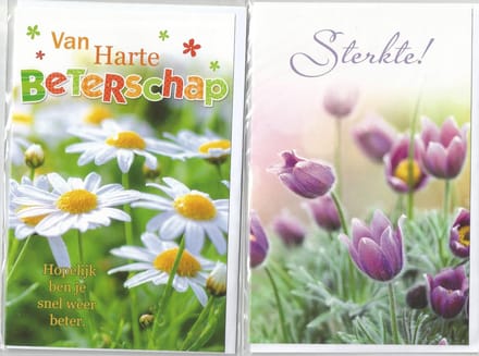 Beterschap Sterkte Wenskaarten 8 stuks