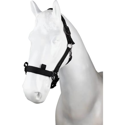 Nylon halster Horze Control