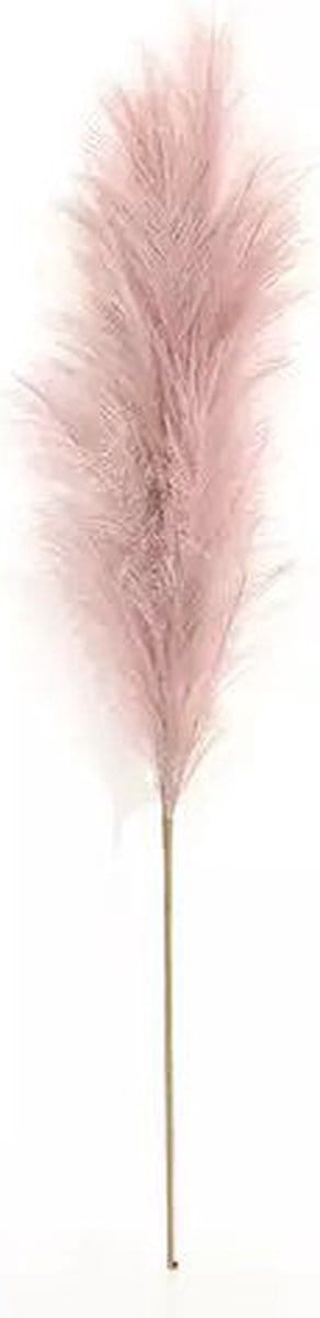 Pampas Gras 60 cm Roze kunstplant Buitengewoon de Boet