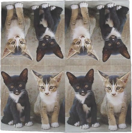 Lunch servetten Kittens - Esschert Design - 33x33 cm