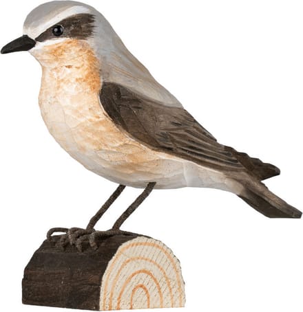 Wildlife Garden Decobird traquet motteux