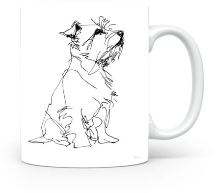 Beker Norfolk Terrier